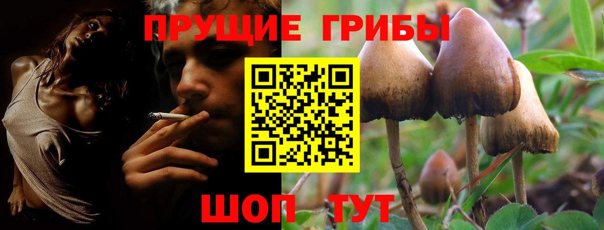 Галлюциногенные грибы Cubensis  Вход с VPN  Полысаево 
