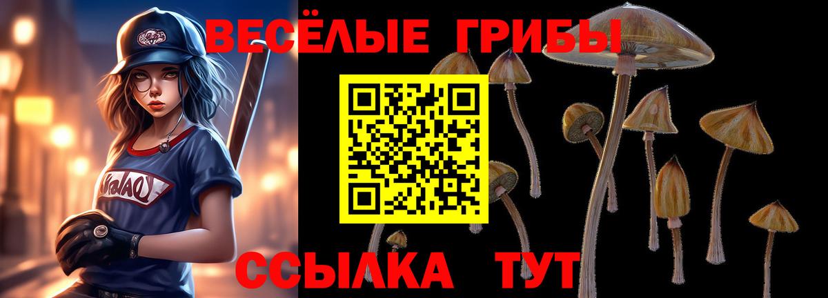 Псилоцибиновые грибы мицелий Полысаево